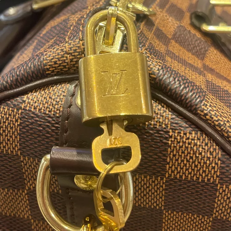 Sac Louis Vuitton