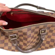 Sac Louis Vuitton