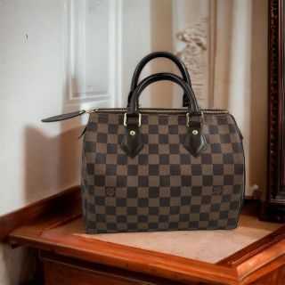 Sac Louis Vuitton