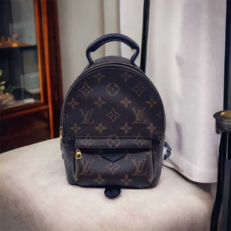 Buy Louis Vuitton Palm Springs Mini Backpack M44873 at