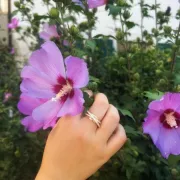 Bague or jaune et diamants