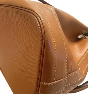 Sac Louis Vuitton