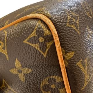 Sac Louis Vuitton Speedy 20
