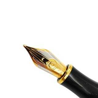 Plume Caran d'Ache