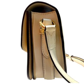 Sac Louis Vuitton Pont9