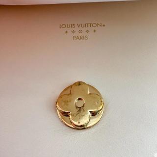 Sac Louis Vuitton Pont9