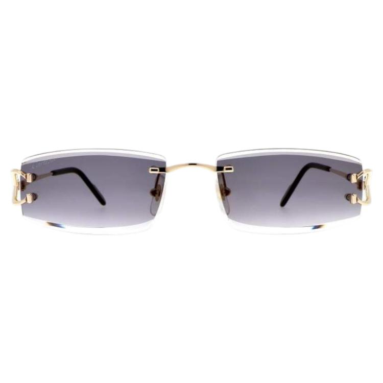 Lunettes Cartier Piccadilly