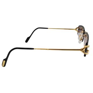 Lunettes Cartier Piccadilly