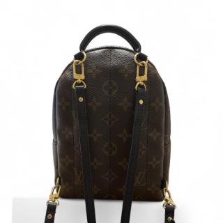 Louis Vuitton Palm Springs Mini