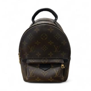 Louis Vuitton Palm Springs Mini
