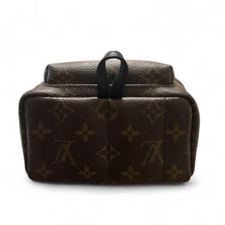 Louis Vuitton Palm Springs Mini