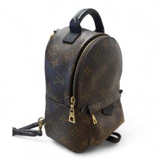 Louis Vuitton Palm Springs Mini