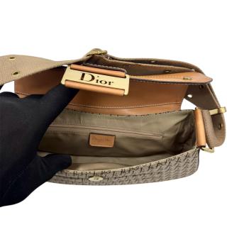 Sac Dior Colombus Street Chic