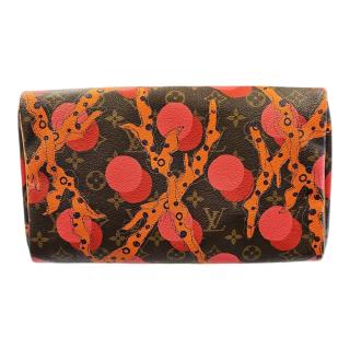 LOUIS VUITTON SPEEDY 30 RAMAGE