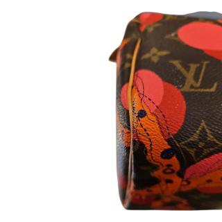 LOUIS VUITTON SPEEDY 30 RAMAGE