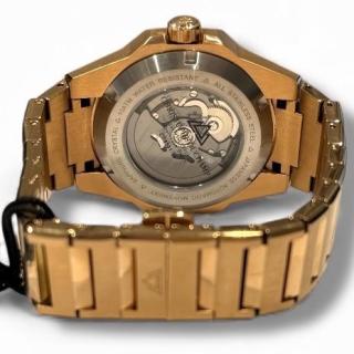 Christophe Ducahmps Raidillon Skeleton Automatic