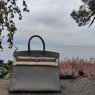 Hermès Birkin 35 Togo Gris Meyer