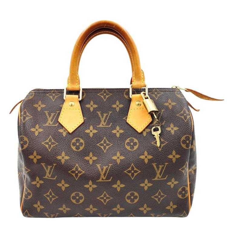 Sac Louis Vuitton