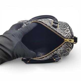 Sac Louis Vuitton Speedy 25 Jacquard 1854